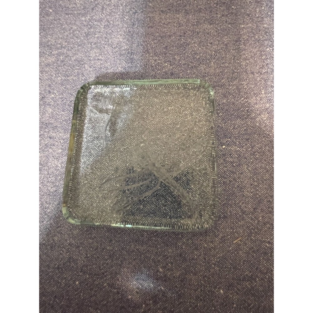 Square Green Tinted Glass  with 2 Embossed Dragon Flies Paperweight
